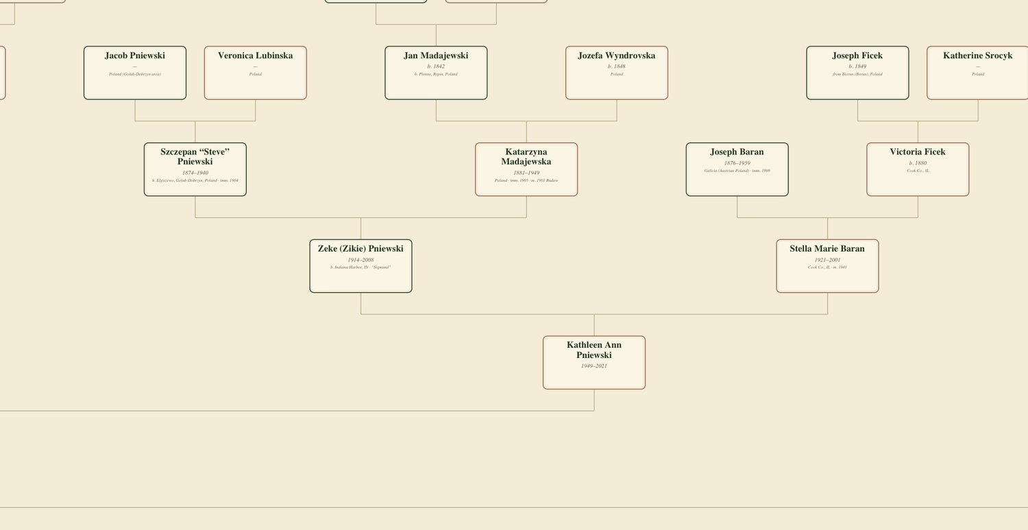 Close-up of a real Rooted family tree showing several generations with birthplaces and dates